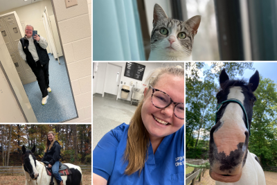 A photo collage of Raleigh Brookshier and their petsA photo collage of Raleigh Brookshier and their pets, a white and grey cat and a black and white horse