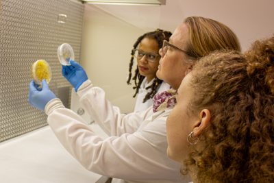 This image shows Matilda Cashman, Hope Gruszewski, and Cinaiya Huddleston looking at a petri dish where there are tissue cultures of Cuscuta campestris, a parasitic weed.