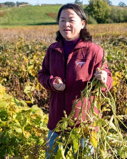 This is an image of Bo Zhang in a field of soy beans.